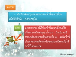 คาถาม
      - นักเรียนคิดว่าถุงลมของนกทาหน้าที่แลกเปลี่ยน
 แก๊สได้หรือไม่ เพราะเหตุใด

        ตอบ     ถุงลมของนกไม่ได้ทาหน้าที่แลกเปลียนแก๊ส
                                                ่
                เนื่องจากผนังของถุงลมไม่บาง ถึงแม้วาจะมี
                                                   ่
                หลอดเลือดฝอยมาล้อมรอบก็ตาม แต่มีหน้าที่
                สารองอากาศเพื่อส่งให้ปอดแลกเปลี่ยนแก๊สให้
                นกใช้ในขณะบิน

                                                ฉวีวรรณ นาคบุตร
 