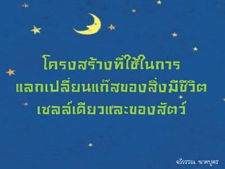 ฉวีวรรณ นาคบุตร
 