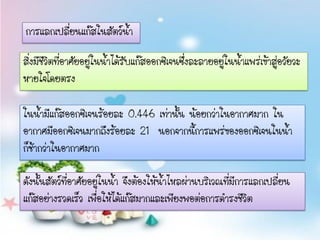 การแลกเปลี่ยนแก๊สในสัตว์นา
                         ้

สิ่งมีชีวิตที่อาศัยอยู่ในน้าได้รับแก๊สออกซิเจนซึ่งละลายอยู่ในน้าแพร่เข้าสูอวัยวะ
                                                                          ่
หายใจโดยตรง

ในน้ามีแก๊สออกซิเจนร้อยละ 0.446 เท่านั้น น้อยกว่าในอากาศมาก ใน
อากาศมีออกซิเจนมากถึงร้อยละ 21 นอกจากนี้การแพร่ของออกซิเจนในน้า
ก็ช้ากว่าในอากาศมาก

ดังนั้นสัตว์ที่อาศัยอยู่ในน้า จึงต้องให้น้าไหลผ่านบริเวณทีมีการแลกเปลี่ยน
                                                          ่
แก๊สอย่างรวดเร็ว เพื่อให้ได้แก๊สมากและเพียงพอต่อการดารงชีวิต
 