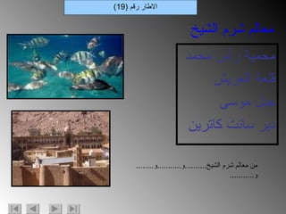 محمية رأس محمد قلعة العريش جبل موسى  دير سانت كاترين الاطار رقم  (19) معالم شرم الشيخ من معالم شرم الشيخ .......... و ........... و ........  و ........... 
