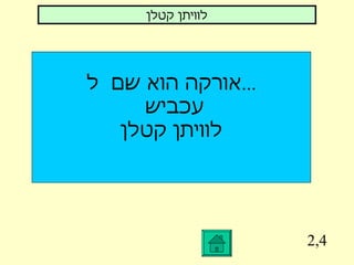 2,4 אורקה הוא שם  ל ... עכביש  לוויתן קטלן לוויתן קטלן 