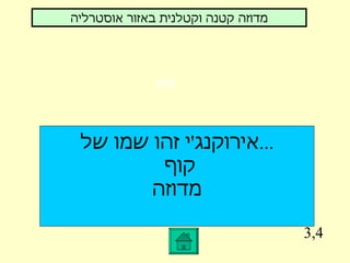 3,4 אירוקנג ' י זהו שמו של ... קוף  מדוזה מדוזה קטנה וקטלנית באזור אוסטרליה 