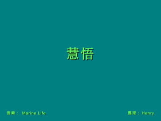 慧悟 音樂：   Marine Life 整理： Henry 