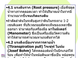 4.1  แรงดันราก   (Root pressure)  เมื่อพืชดูดน้ำทางรากตลอดเวลา ทำให้ปริมาณน้ำในรากมีจำนวนมากขึ้น จนเกิดแรงดัน  ถ้าตัดลำต้นในระดับสูงกว่าดินในกระถาง   1-2  เซนติเมตร ที่บริเวณรอยตัดจะเห็นของเหลวซึมออกมา นำมาต่อกับเครื่องมือ  มาโนมิเตอร์   (Manometer)   ซึ่งเป็นเครื่องมือวัดความดันทำให้สามารถคำนวณหาแรงดันรากได้ 4.2  แรงดึงเนื่องจากการคายน้ำ   (Ttranspiration pull)  โจเซฟ โบห์ม  (Josef Bohm)   ได้ทดลองต้มน้ำในบีกเกอร์ให้ร้อน เพื่อทำให้น้ำในหม้อดินเผาซึ่งเป็น หม้อพรุนร้อนขึ้น ทำให้ ฟองอากาศในหลอดคะปิลลารีถูกไล่ออก ไป เมื่อเอาบีกเกอร์ที่มีน้ำร้อนออก ทำให้น้ำมีอยู่เต็มหลอดคะปิลลารี เมื่อตั้งทิ้งไว้สักระยะหนึ่งน้ำจะระเหยออกไปจากหม้อพรุน  ทำให้ระดับปรอทขึ้นไปได้สูงถึง   100  เซนติเมตร 
