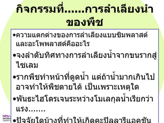 กิจกรรมที่ ...... การลำเลียงนำของพืช ความแตกต่างของการลำเลียงแบบซิมพลาสต์และอะโพพลาสต์คืออะไร จงลำดับทิศทางการลำเลียงน้ำจากขนรากสู่ไซเลม รากพืชทำหน้าที่ดูดน้ำ แต่ถ้าน้ำมากเกินไปอาจทำให้พืชตายได้ เป็นเพราะเหตุใด พันธะไฮโดรเจนระหว่างโมเลกุลน้ำเรียกว่าแรง ....... ปัจจัยใดบ้างที่ทำให้เกิดคะปิลลารีแอคชัน เพราะเหตุใดน้ำจารากจึงสามารถเคลื่อนที่ขึ้นสู่ยอดได้ 