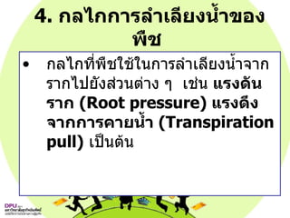 4.  กลไกการลำเลียงน้ำของพืช  กลไกที่พืชใช้ในการลำเลียงน้ำจากรากไปยังส่วนต่าง ๆ  เช่น  แรงดันราก   (Root pressure)  แรงดึงจากการคายน้ำ   (Transpiration pull)   เป็นต้น 