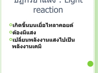 ปฏิกิริยาแสง  : Light reaction เกิดขึ้นบนเยื่อไทลาคอยด์ ต้องมีแสง เปลี่ยนพลังงานแสงไปเป็นพลังงานเคมี 