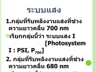 ระบบแสง 1. กลุ่มที่รับพลังงานแสงที่ช่วงความยาวคลื่น  700 nm เรียกกลุ่มนี้ว่า ระบบแสง  I  [Photosystem I  : PSI, P 700 ] 2.  กลุ่มที่รับพลังงานแสงที่ช่วงความยาวคลื่น  680 nm เรียกกลุ่มนี้ว่า ระบบแสง  II  [Photosystem II  : PSII, P 680 ] 