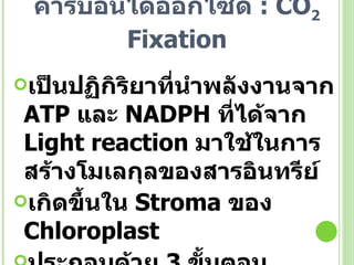 ปฏิกิริยาตรึงคาร์บอนไดออกไซด์  : CO 2  Fixation เป็นปฏิกิริยาที่นำพลังงานจาก  ATP  และ  NADPH  ที่ได้จาก  Light reaction  มาใช้ในการสร้างโมเลกุลของสารอินทรีย์ เกิดขึ้นใน  Stroma  ของ   Chloroplast ประกอบด้วย  3  ขั้นตอน 
