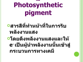 สารสีในปฏิกิริยาแสง Photosynthetic pigment สารสีที่ทำหน้าที่ในการรับพลังงานแสง โดยดึงพลังงานแสงและให้  e -  เป็นผู้นำพลังงานนั้นเข้าสู่กระบวนการทางเคมี 