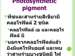 Photosynthetic pigment พืชและสาหร่ายสีเขียวมีคลอโรฟิลล์  2  ชนิด คลอโรฟิลล์ เอ และคลอโรฟิลล์ บี นอกจากคลอโรฟิลล์แล้วยังมีแคโรทีนอยด์ และพบว่าสาหร่ายบางชนิดมี ไฟโคบิลิน 