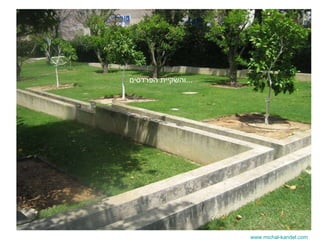 www.michal-kandel.com והשקיית הפרדסים ... 