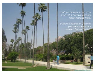 www.michal-kandel.com הדרך הלבנה ,  חוצה את הגן לאורכו ומחברת בין המייסדים לבין הבנים שנפלו במערכות ישראל . שדרת דקלי הוושינגטוניה ניטעה ע &quot; י האגרונום אהרון אהרונסון  לפני מלחמת עולם ראשונה . 