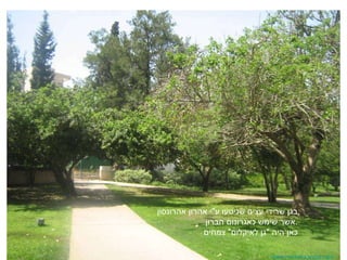 www.michal-kandel.com בגן שרידי עצים שניטעו ע &quot; י אהרון אהרונסון  אשר שימש כאגרונום הברון . כאן היה  &quot; גן לאיקלום &quot;  צמחים 