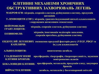 КЛІТИННІ МЕХАНІЗМИ ХРОНІЧНИХ  ОБСТРУКТИВНИХ ЗАХВОРЮВАНЬ ЛЕГЕНЬ  МАКРОФАГИ: міграція, секреція еластази, руйнування еластину, продукція цитокінів Т-ЛІМФОЦИТИ ( CD8 + ): міграція, гранзим-індукований цитоліз альвеолоцитів  з порушеним антигенним гомеостазом НЕЙТРОФІЛЬНІ  ГРАНУЛОЦИТИ: АЛЬВЕОЛОЦИТИ: ГЛАДЕНЬКОМ ` ЯЗОВІ  КЛІТИНИ БРОНХІВ: БОКАЛОВИДНІ КЛІТИНИ: ЕОЗИНОФІЛИ: ЕНДОТЕЛІЙ ЛЕГЕНЕВИХ  КАПІЛЯРІВ: міграція, секреція еластази, руйнування еластину міграція, інактивація медіаторів запалення,  секреція протеїназ, руйнування еластину апоптотична загибель проліферація, гіпертрофія, гіперскоротливість, звуження повітроносних шляхів проліферація, метаплазія, продукція слизу, закупорка бронхів зменшення продукції факторів росту ( VEGF, PDGF  та ін.) для альвеолоцитів ВІЙЧАСТ І КЛІТИНИ: загибель, метаплазія у багатошаровий епітелій 