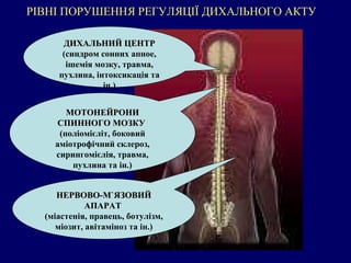 РІВНІ ПОРУШЕННЯ РЕГУЛЯЦІЇ ДИХАЛЬНОГО АКТУ ДИХАЛЬНИЙ ЦЕНТР  (синдром сонних апное, ішемія мозку, травма, пухлина, інтоксикація та ін.) МОТОНЕЙРОНИ СПИННОГО МОЗКУ   (поліомієліт, боковий аміотрофічний склероз, сирингомієлія, травма, пухлина та ін.) НЕРВОВО-М ` ЯЗОВИЙ АПАРАТ   (міастенія, правець, ботулізм, міозит, авітаміноз та ін.) 