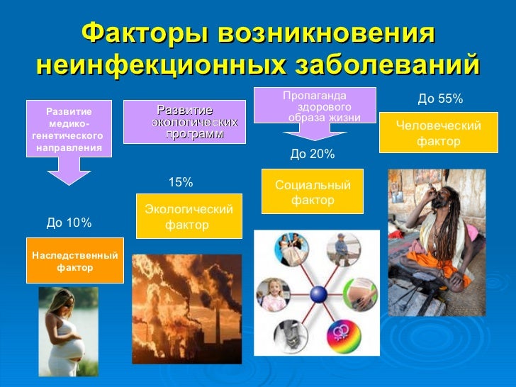 Презентация Профилактика Неинфекционных Заболеваний