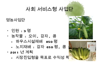 영농사업단 *  인원  : 3 명 *  농작물  :  오이 ,  감자 ,  콩 -  하우스시설재배  850 평 -  노지재배  :  감자  650 평 ,  콩  700 평 * 2011 년 계획 -  시장진입형을 목표로 수익성 확대 사회 서비스형 사업단 