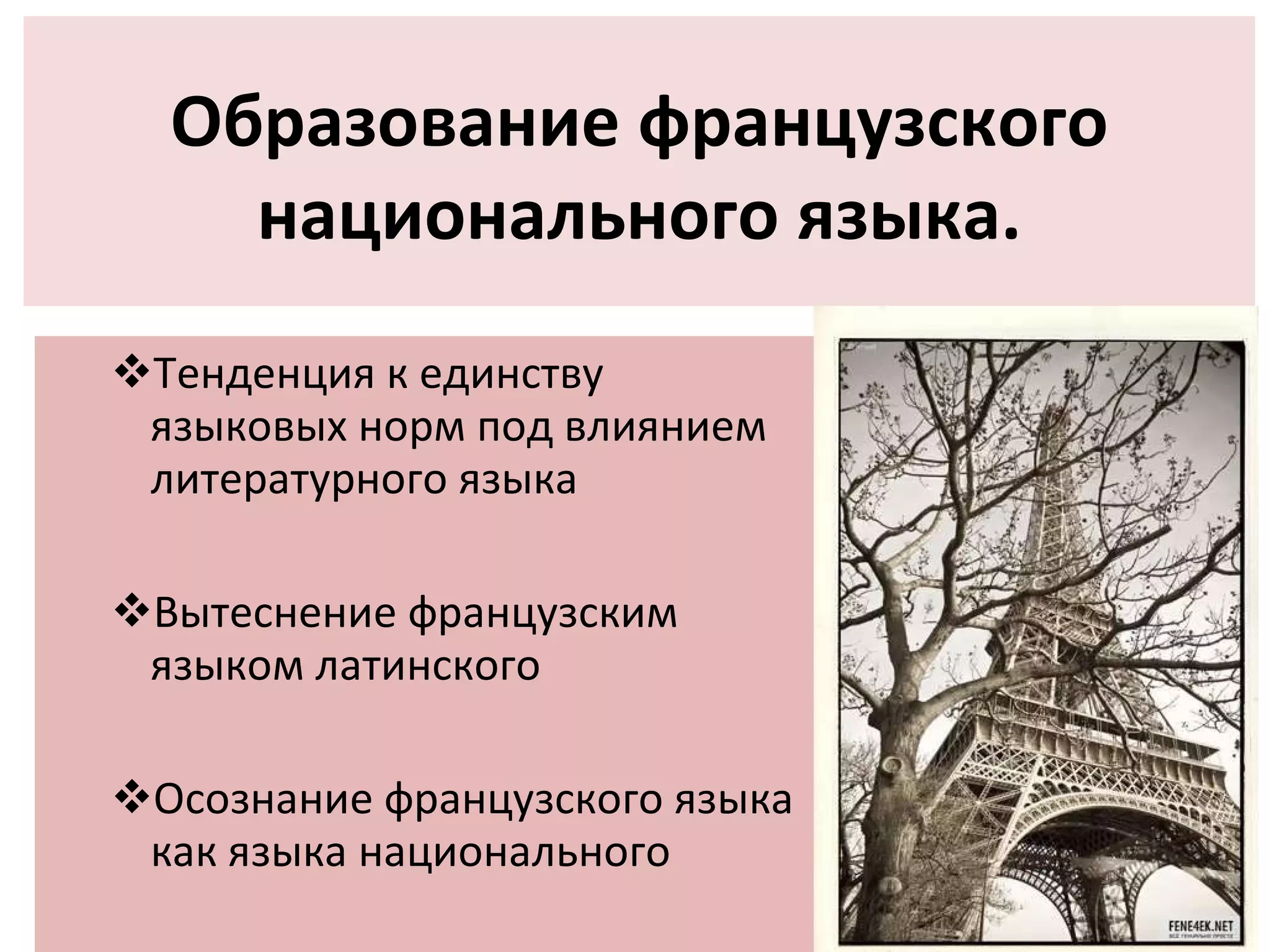 Тенденция к единству  языковых норм под влиянием литературного языка Вытеснение французским языком латинского  Осознание французского языка как языка национального Образование французского национального языка. 
