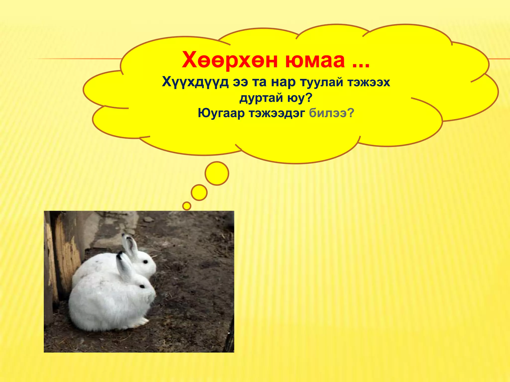 Хөөрхөн юмаа ...
Хүүхдүүд ээ та нар туулай тэжээх
          дуртай юу?
     Юугаар тэжээдэг билээ?
 