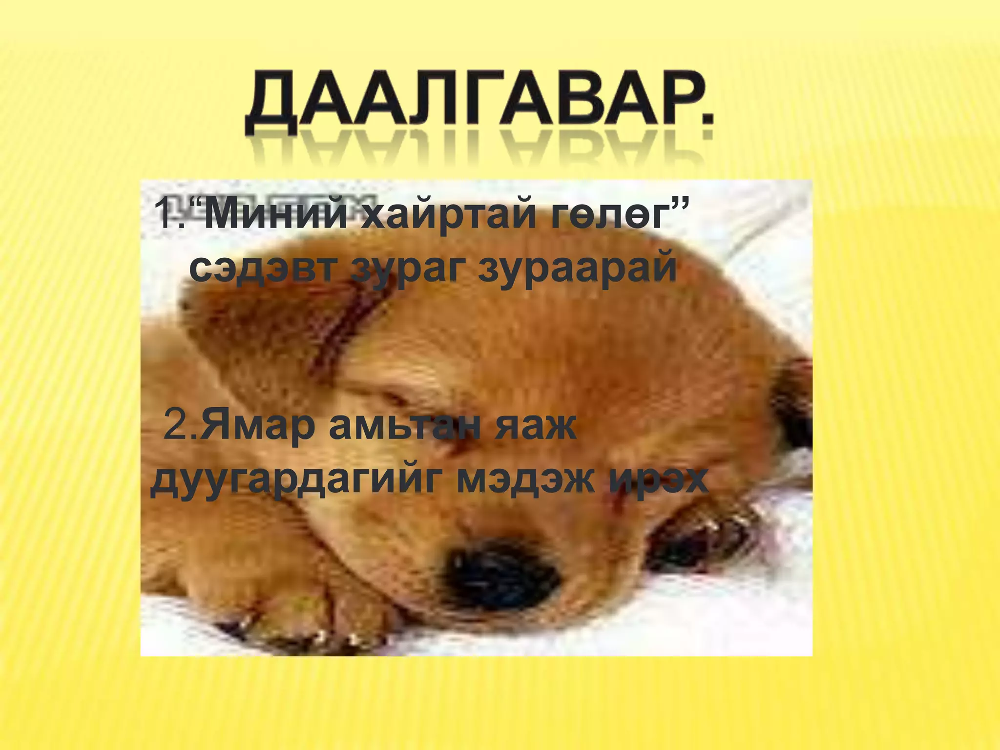 1.“Миний хайртай гөлөг”
  сэдэвт зураг зураарай


2.Ямар амьтан яаж
дуугардагийг мэдэж ирэх
 