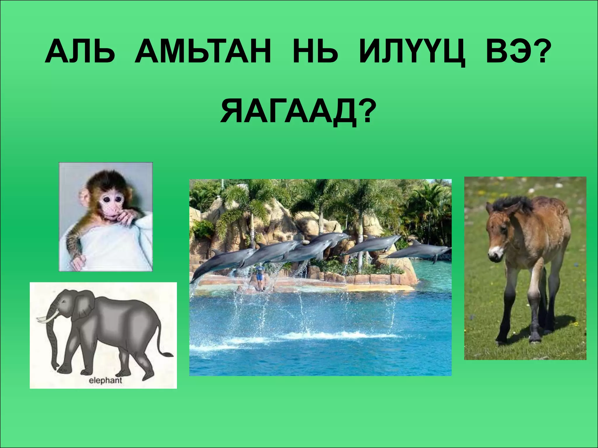 АЛЬ АМЬТАН НЬ ИЛҮҮЦ ВЭ?
       ЯАГААД?
 