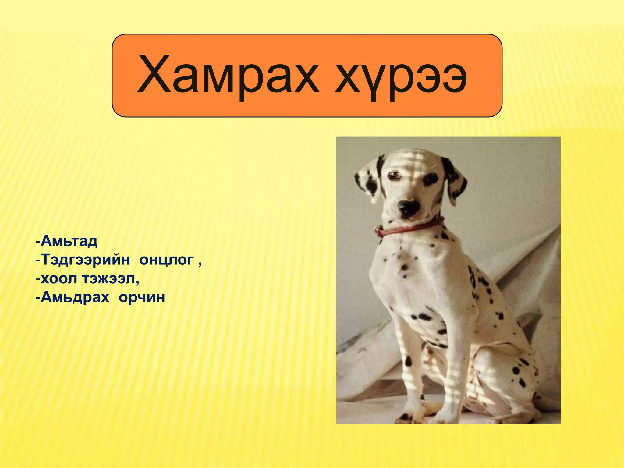 Хамрах хүрээ

-Амьтад
-Тэдгээрийн онцлог ,
-хоол тэжээл,
-Амьдрах орчин
 