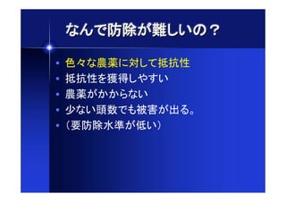 •¡Žvw0¢£+#¤

•   S¥•¦§)x£,¨©ª
•   ¨©ª@«¬£~K+
•   ¦§0AA6•+
•   -•+•œŽ®NO0¯LM
•   9°vw±²0³+;
 