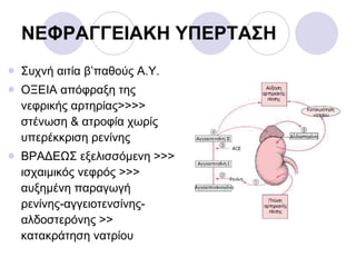 ΝΕΦΡΑΓΓΕΙΑΚΗ ΥΠΕΡΤΑΣΗ Συχνή αιτία β’παθούς Α.Υ. ΟΞΕΙΑ απόφραξη της νεφρικής αρτηρίας>>>> στένωση & ατροφία χωρίς υπερέκκριση ρενίνης ΒΡΑΔΕΩΣ εξελισσόμενη >>> ισχαιμικός νεφρός >>> αυξημένη παραγωγή ρενίνης-αγγειοτενσίνης-αλδοστερόνης >> κατακράτηση νατρίου 