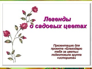 Легенды  о садовых цветах Презентацию для проекта «Благодарю тебя за цветы» подготовила группа «историков» 