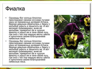 Фиалка Однажды бог солнца Аполлон преследовал своими жгучими лучами одну из прекрасных дочерей Атласа, бедная девушка обратилась к Зевсу с мольбой укрыть и защитить ее. И вот великий громовержец, вняв её мольбам, превратил ее в чудную фиалку и укрыл ее в тени своих кущ, где она с тех пор каждую весну цвела и наполняла своим благоуханием небесные леса. Однажды бог солнца Аполлон преследовал своими жгучими лучами одну из прекрасных дочерей Атласа, бедная девушка обратилась к Зевсу с мольбой укрыть и защитить ее. И вот великий громовержец, вняв её мольбам, превратил ее в чудную фиалку и укрыл ее в тени своих кущ, где она с тех пор каждую весну цвела и наполняла своим благоуханием небесные леса. 