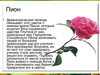 Пион Древнегреческая легенда связывает этот цветок с именем врача Пеона, который исцелил бога подземного царства Плутона от ран, нанесенных ему Геркулесом. Способности Пеона излечивать людей от болезней превосходил дар его учителя - бога врачевания Эскулапа, из-за чего тот стал завидовать ученику столь жестоко, что решил его отравить. Пытаясь уклониться от мести учителя, Пеон возвал к помощи богов и боги сжалившись над беднягой, превратили его в цветок.  
