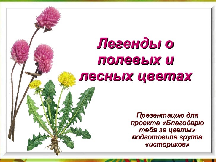 лесные цветы картинки с названиями онлайн лесные цветы картинки с названиями