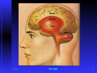 12/06/11 陳旺全醫師 