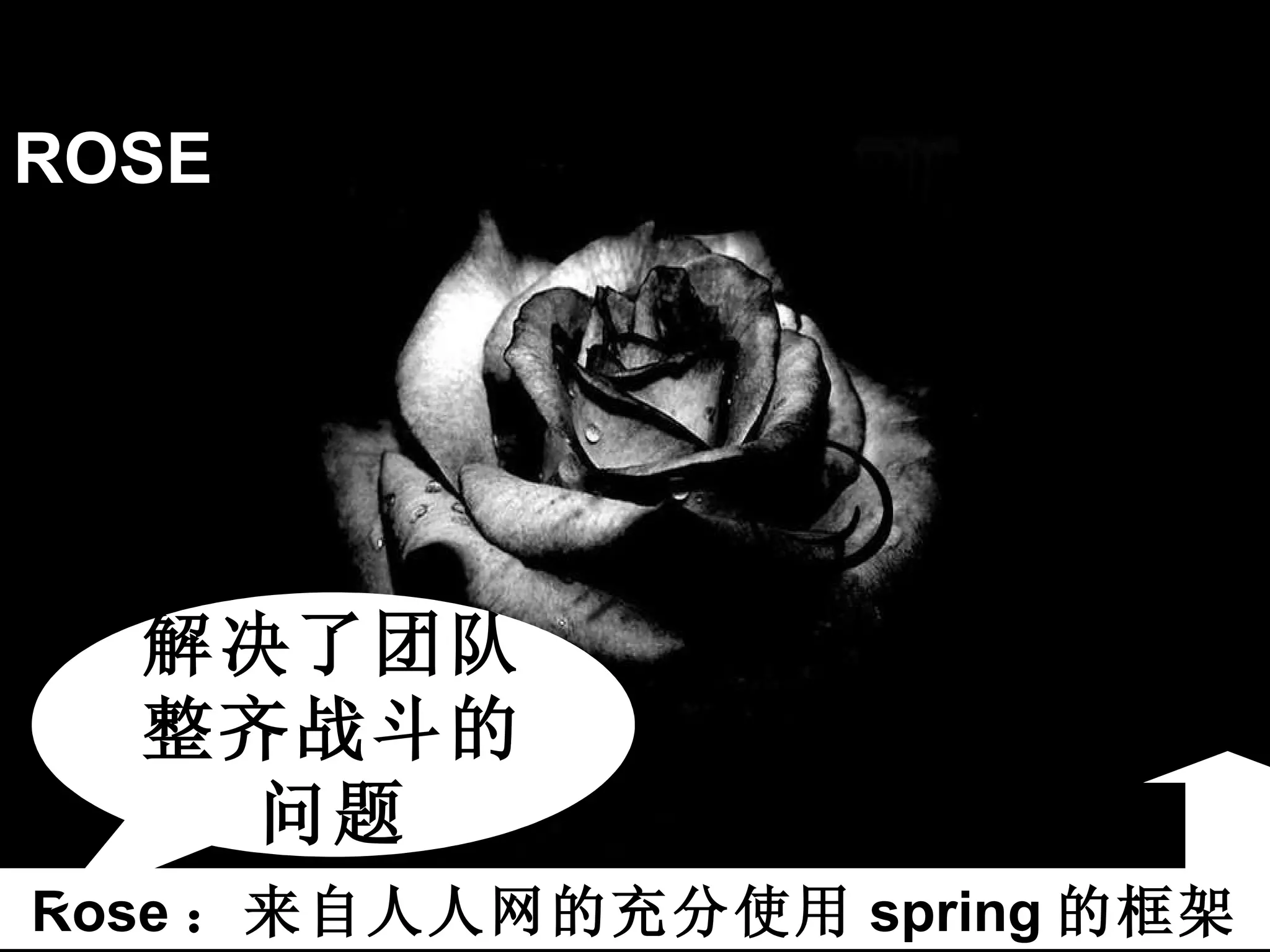ROSE Rose ：来自人人网的充分使用 spring 的框架 解决了团队整齐战斗的问题 