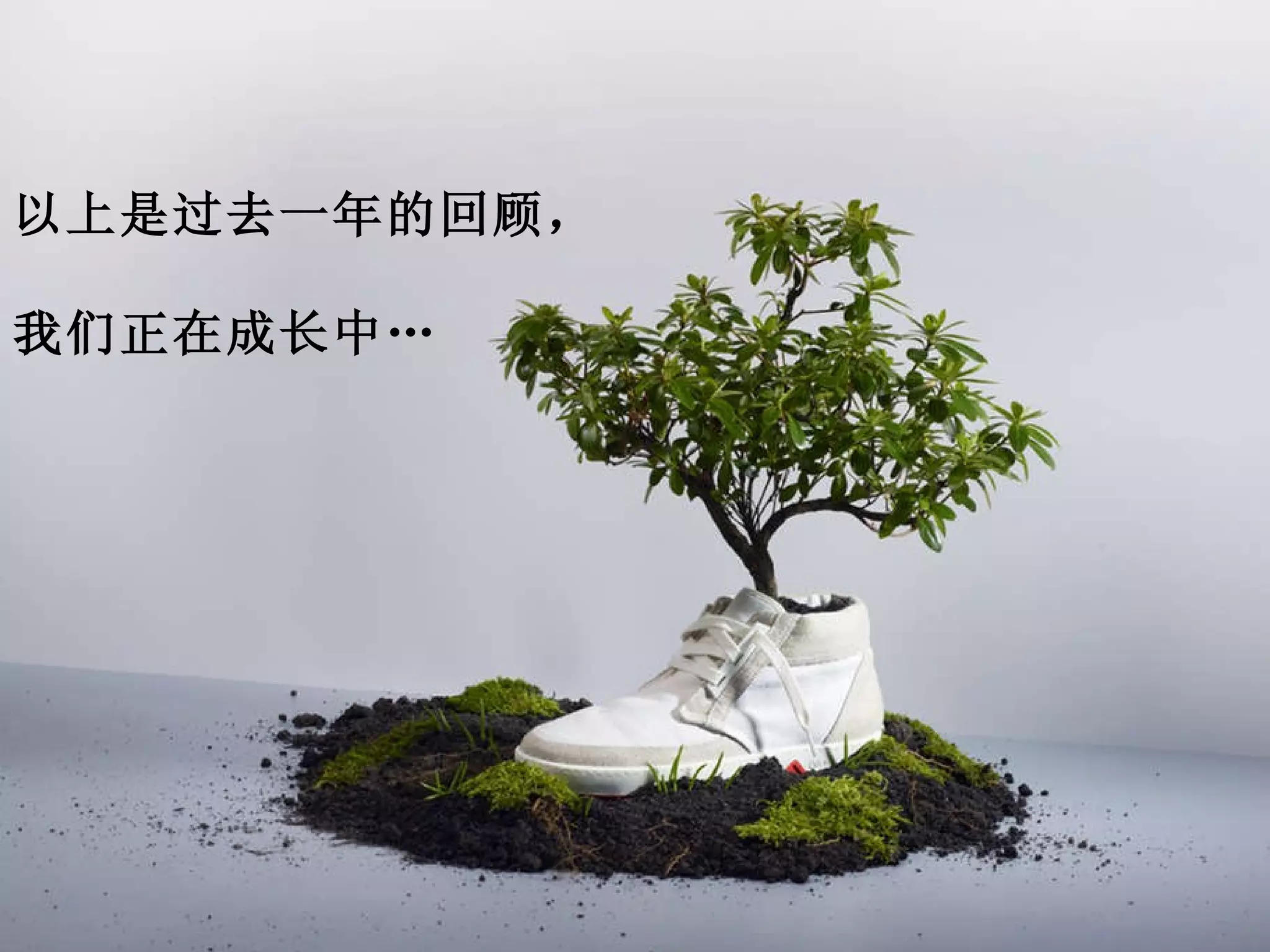 以上是过去一年的回顾， 我们正在成长中… 