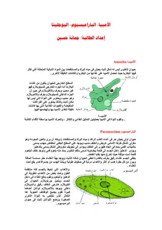 يتحرك البراميسيوم بواسطة