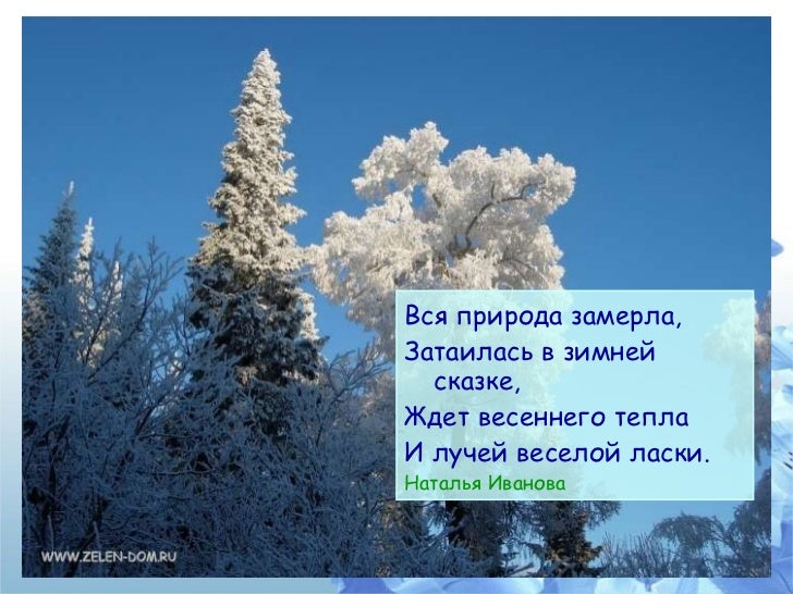 Природа замерла. Природа не ждет. Природа не ждет. Лабрадор ретривер зима. Природа не ждет.