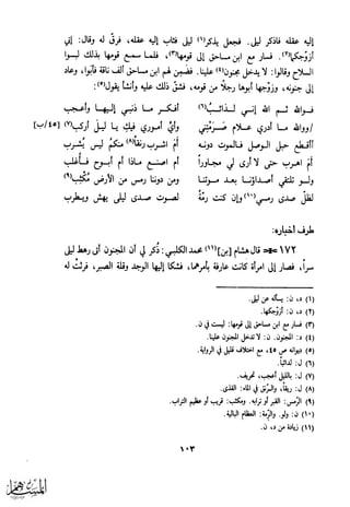 كتاب عقلاء المجانين