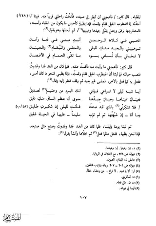 كتاب عقلاء المجانين