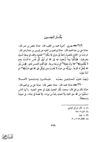 كتاب عقلاء المجانين