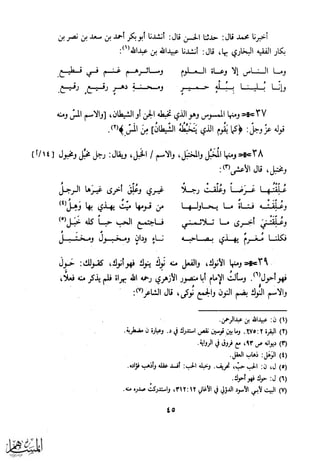 كتاب عقلاء المجانين