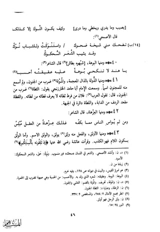 كتاب عقلاء المجانين