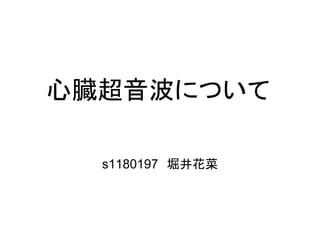 心臓超音波について

  s1180197　堀井花菜
 
