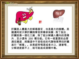肝 肝臟是人體最大的解毒器官，也是最大的腺體。美國邁阿密大學肝臟病學首席專家保羅 · 馬丁指出，肝臟就像一個化工廠，除了能分解攝入體內的酒精外，至少還有  250  種功能。它有一根重要的血管通往腸道，將腸道中不易吸收的代謝物質帶回肝臟進行「解毒」。如果經常喝酒或者大口、連著喝，分解速度跟不上，就可能造成酒精中毒。 
