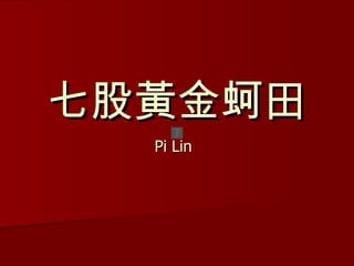 七股黃金蚵田 Pi Lin   