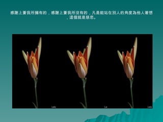 лϲӵеģлϲûеģվڱ˵ĽǶȞ룬Ǵȱ 