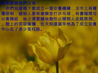他笑著跟我們分享： 「你們知道嗎？要成立一個安養機構，法令上有種種限制，植物人要有康樂室打乒乓球，有書報間可以看報紙，地上還要鋪地墊防止植物人走路跌倒…」臉上的笑容燦爛，但天知道當年他為了成立安養中心走了多少冤枉路。 