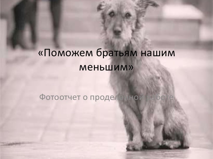 Картинки поможем братьям нашим меньшим, надписями днем