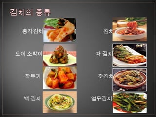 총각김치      김치



오이 소박이   파 김치



  깍두기     갓김치



 백 김치    열무김치
 